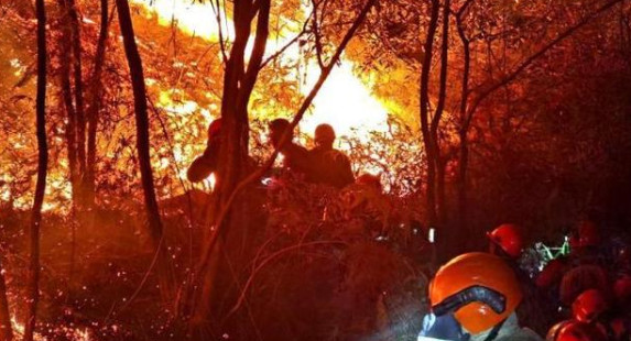 前4月全国共发生森林火灾466起1