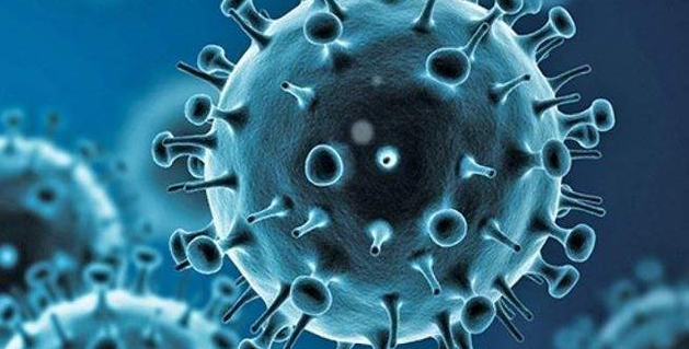 法国称发现新型变异新冠病毒