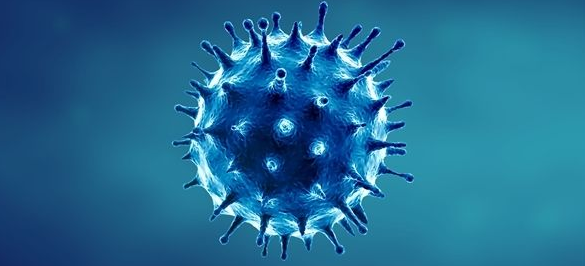 法国称发现新型变异新冠病毒